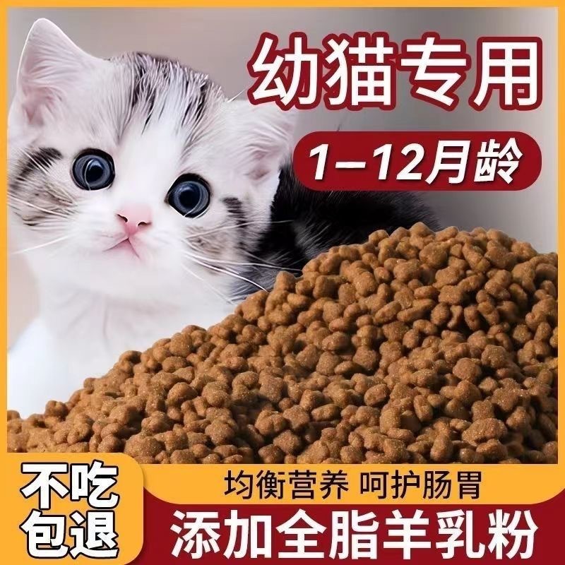 Nutrition Physical Fitness - Makanan kucing anak kucing daging segar