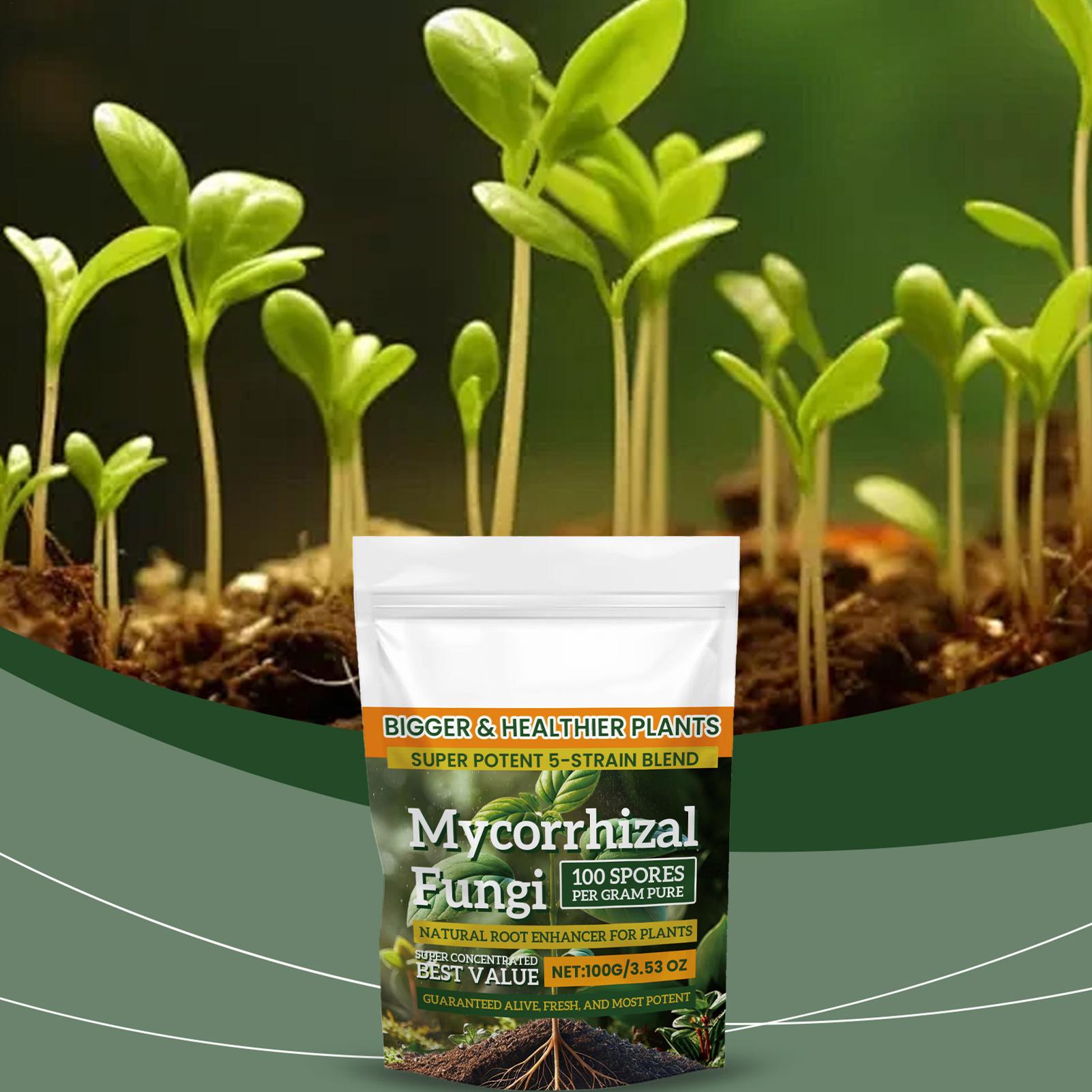 Roots Nutrition & Fitness Inglewood Photos - 100g Bubuk Penguat Akar Nutrisi Alami