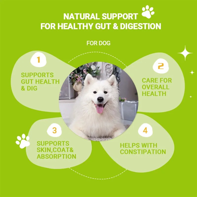 Probiotik untuk Anjing - Suple - Nutrition & Fitness Hub ulasan dan harga