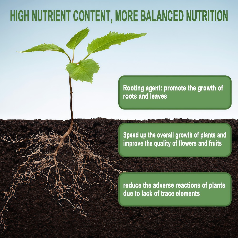Nutrisi Perakaran Cepat untuk  - Roots Nutrition & Fitness Inglewood Photos ulasan dan harga