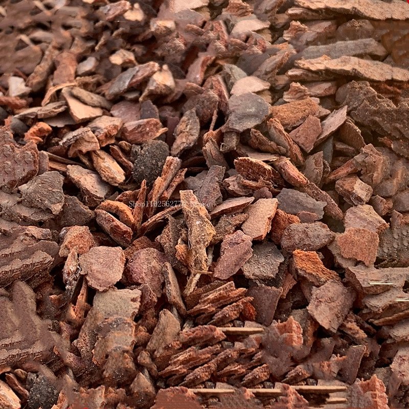 500g kulit kayu pinus fermenta - Roots Nutrition & Fitness Inglewood Photos ulasan dan harga