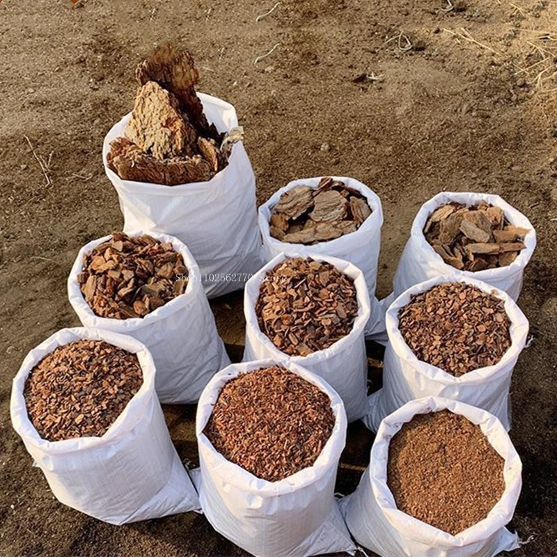 500g kulit kayu pinus fermenta - Roots Nutrition & Fitness Inglewood Photos ulasan dan harga