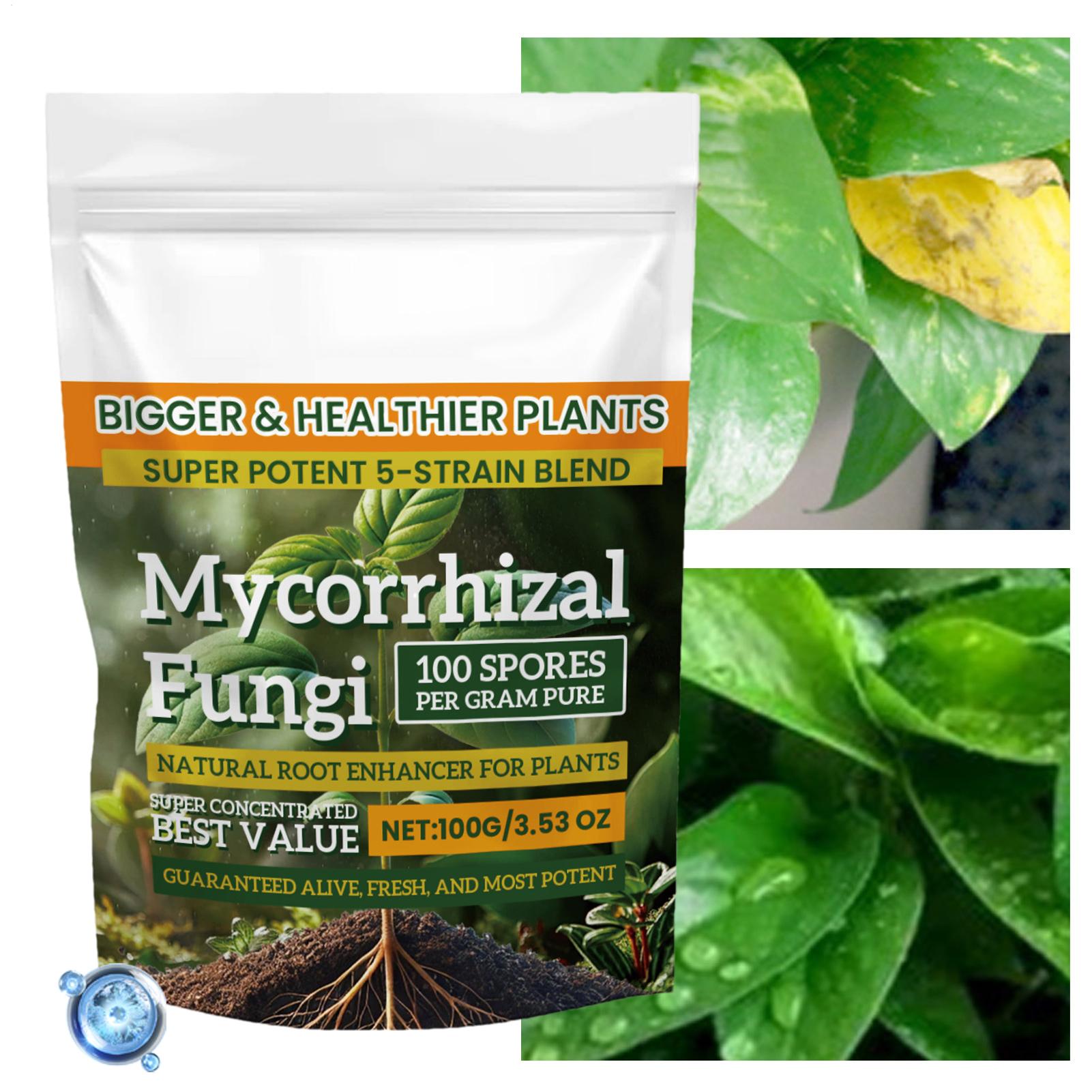 100g Bubuk Penguat Akar Nutris - Roots Nutrition & Fitness Inglewood Photos ulasan dan harga